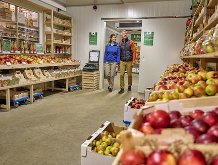 Kühlkammer mit vielen verschiedenen Apfelsorten