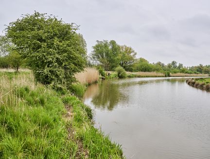 Kleiner Fluss windet sich durch die grüne Landschaft