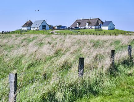 Ein einsames Gebäude auf einer Hallig